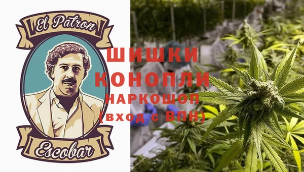 шишки Алагир