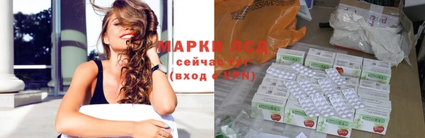 гидра Надым