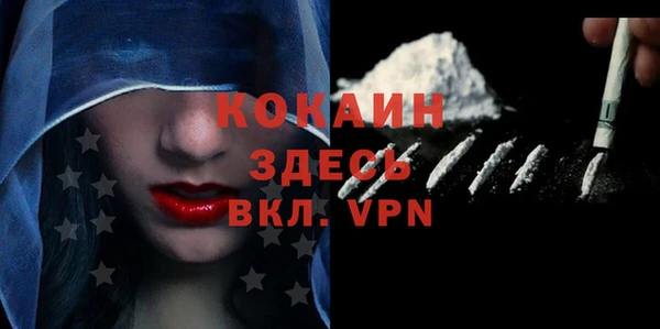 гидра Надым