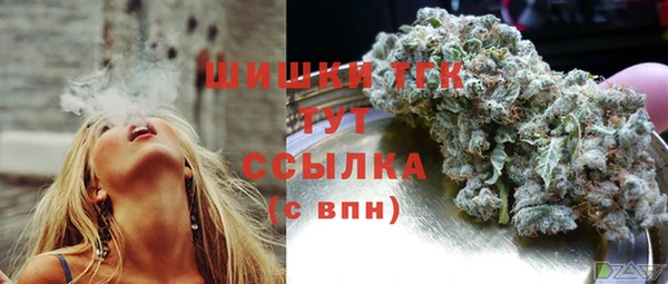 гидра Надым