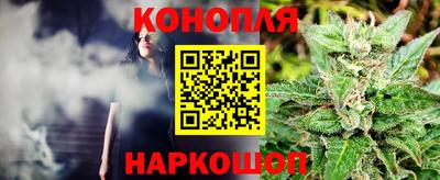 шишки Моздок