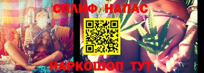 шишки Моздок