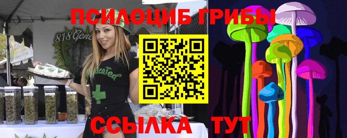 Нарьян-Мар  Галлюциногенные грибы Psilocybe  Вход с VPN  Псилоцибиновые грибы Psilocybe 